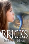 Bricks by John Davidson