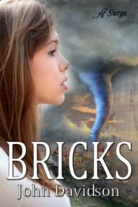 Bricks by John Davidson