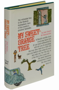 sweet-orange-tree