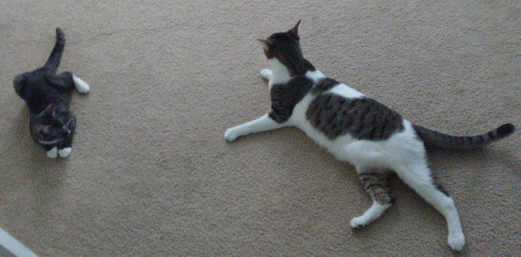 20160912_100157_burst01