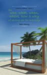 Who What Where When Why by Beth Steury