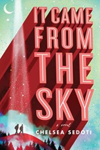 It Came From the Sky by Chelsea Sedoti