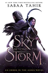 A Sky Beyond the Storm by Saaba Tahir