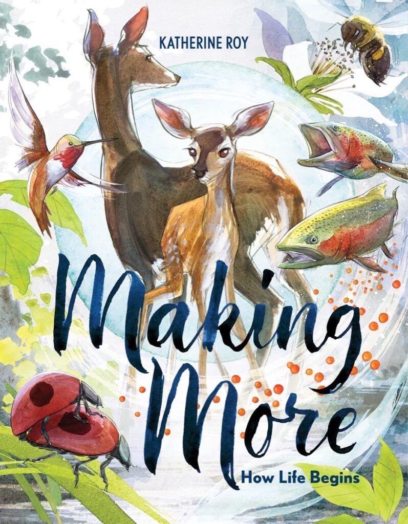 Making More by Katherine Roy cover shows drawings of a mother and baby deer in the center. A hummingbird on the left. Salmon on the right. Two ladybugs in the bottom left corner.