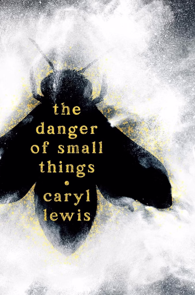 The Danger of Small Things by Caryl Lewis